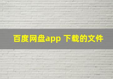 百度网盘app 下载的文件